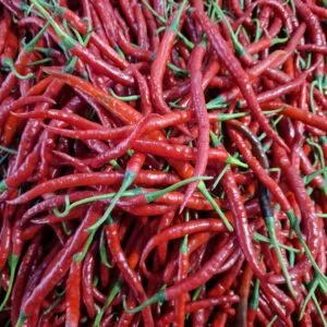 Cabai Keriting Merah: Si Pedas Serbaguna yang Wajib Ada di Dapur!