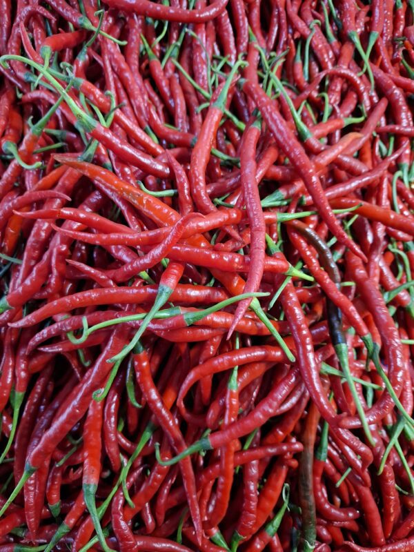 Cabai Keriting Merah: Si Pedas Serbaguna yang Wajib Ada di Dapur!