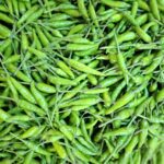 Cabai Rawit Hijau: Si Kecil Pedas yang Wajib Ada di Dapur Indonesia