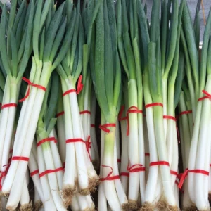 bawang daun cikfresh