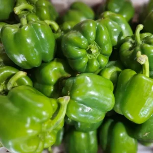 paprika hijau segar cikfresh