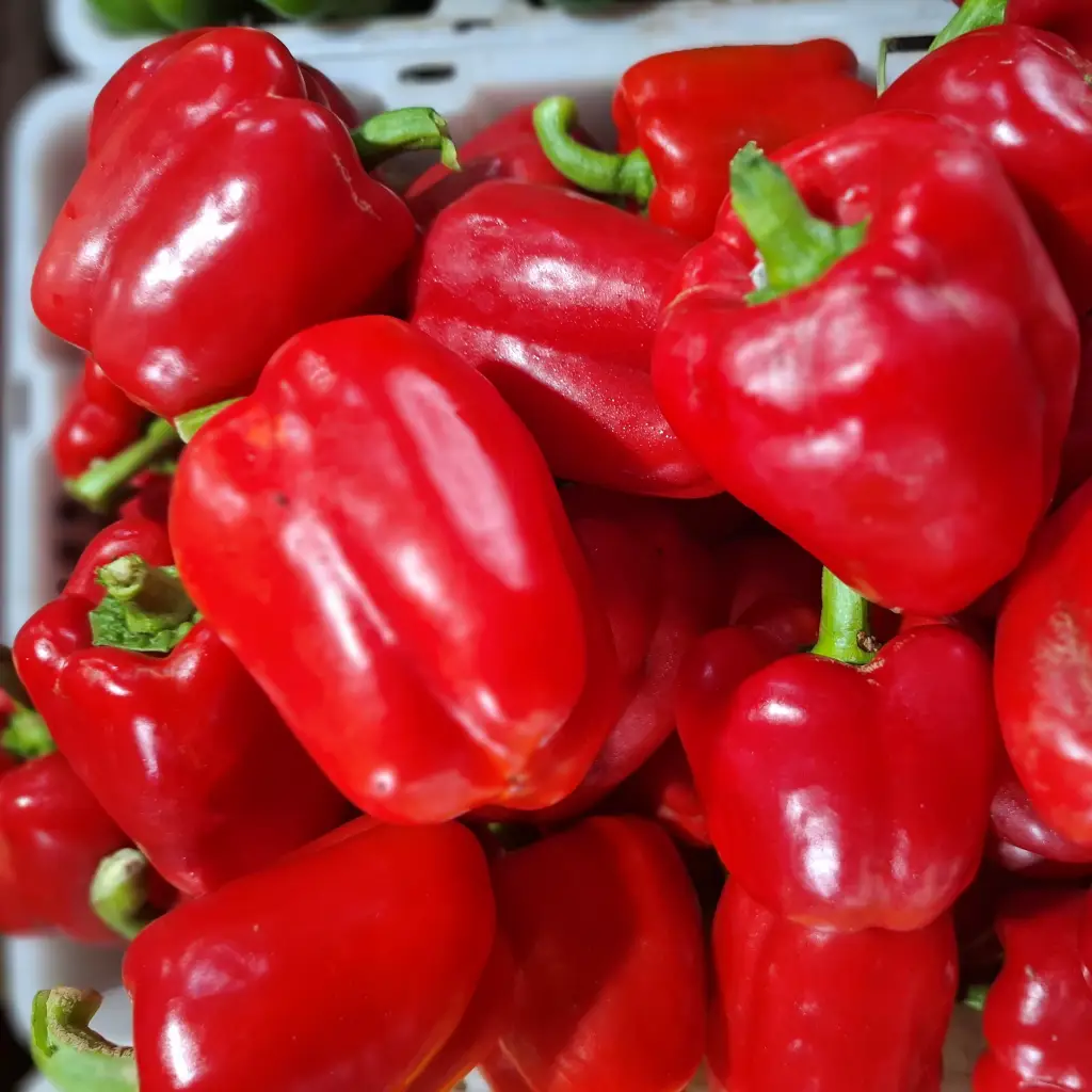 7 Manfaat Paprika Merah untuk Kesehatan dan Cara Mengolahnya 1 paprika merah segar cikfresh