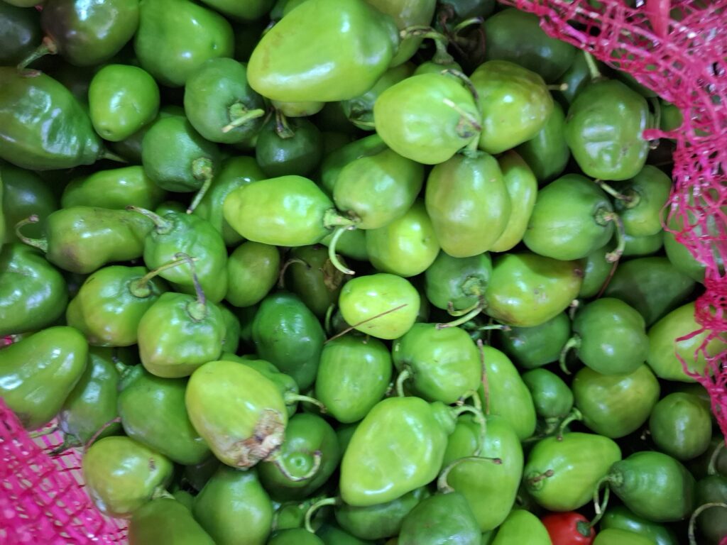 Cabai Gendot: Pedasnya Nagih, Manfaatnya Wow! Cek Harga & Tips di Cikfresh