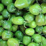 Cabai Gendot: Pedasnya Nagih, Manfaatnya Wow! Cek Harga & Tips di Cikfresh