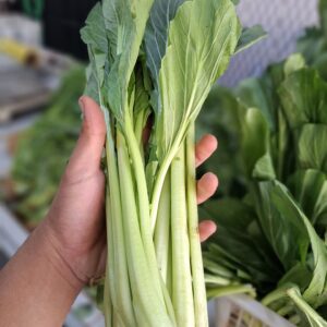 7 Manfaat Ajaib Sawi Hijau & ide Kreatif Jadi Masakan Enak