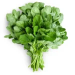 4 Rahasia Bayam Berkualitas, Tips Menyimpan & Cara Memilih