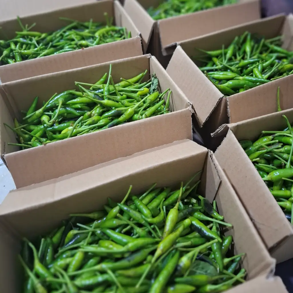 Cabai Rawit Hijau: Si Kecil Pedas yang Wajib Ada di Dapur Indonesia 1 cabai rawit hijau segar cikfresh