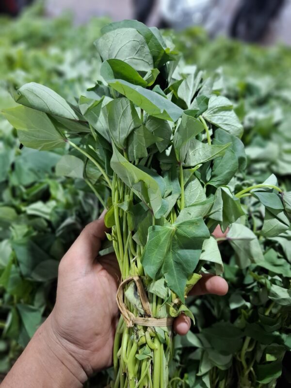 Daun Ubi: Sayuran Bergizi Tinggi yang Sering Terlupakan