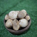 Jamur Bulat: Si Mungil yang Kaya Manfaat & Bikin Masakan Makin Nikmat