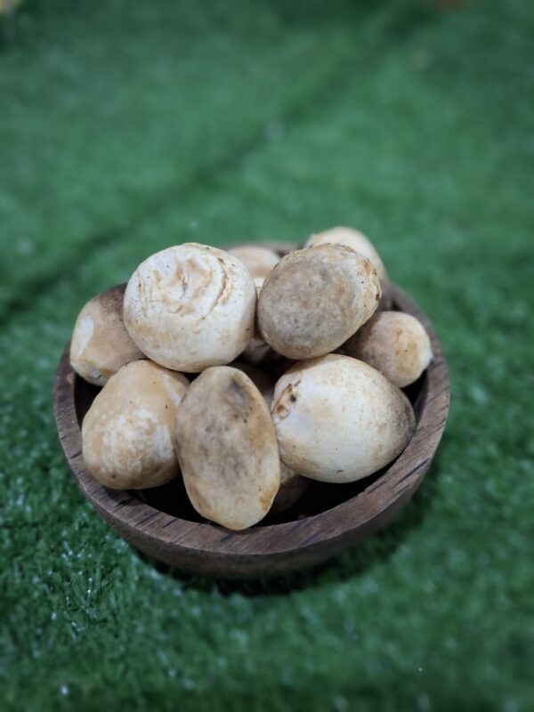 Jamur Bulat: Si Mungil yang Kaya Manfaat & Bikin Masakan Makin Nikmat