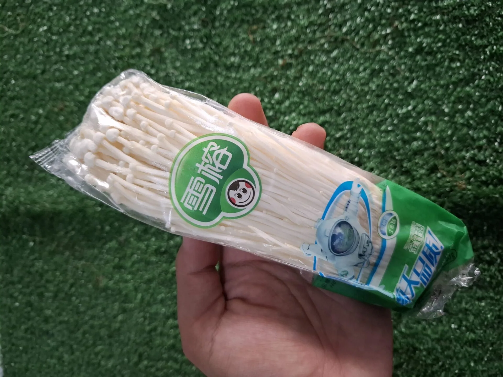 Jamur Enoki: Si Putih Panjang yang Kaya Nutrisi dan Serbaguna 1 jamur enoki