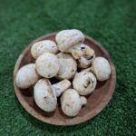 jamur kancing cikfresh