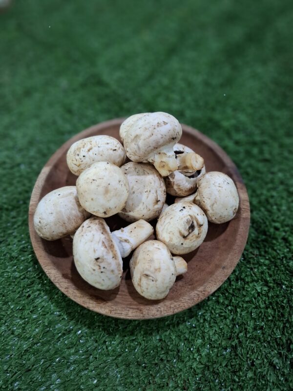 jamur kancing cikfresh