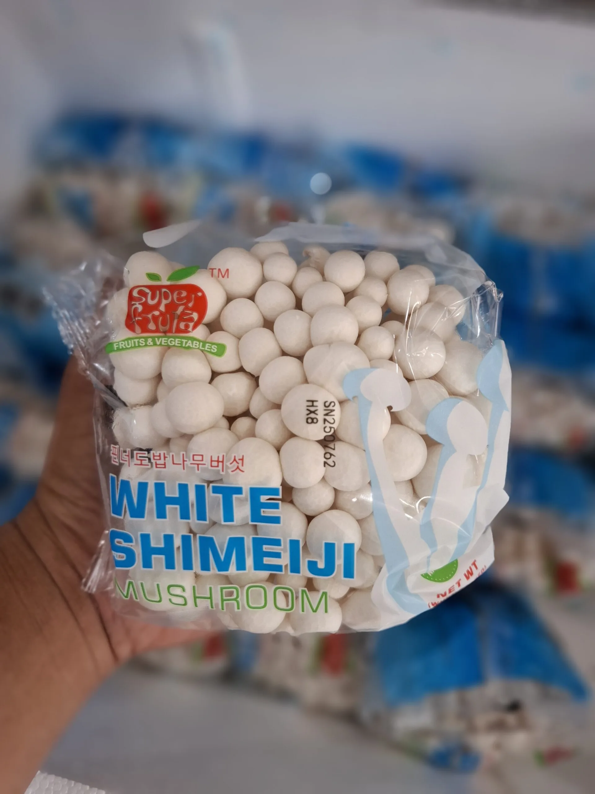 Jamur Shimeiji: 5 Manfaat, Cara Olah, dan Resep Lezat 1 Jamur Shimeiji: 5 Manfaat, Cara Olah, dan Resep Lezat