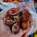 Jengkol Si Aroma Khas dengan Segudang Manfaat