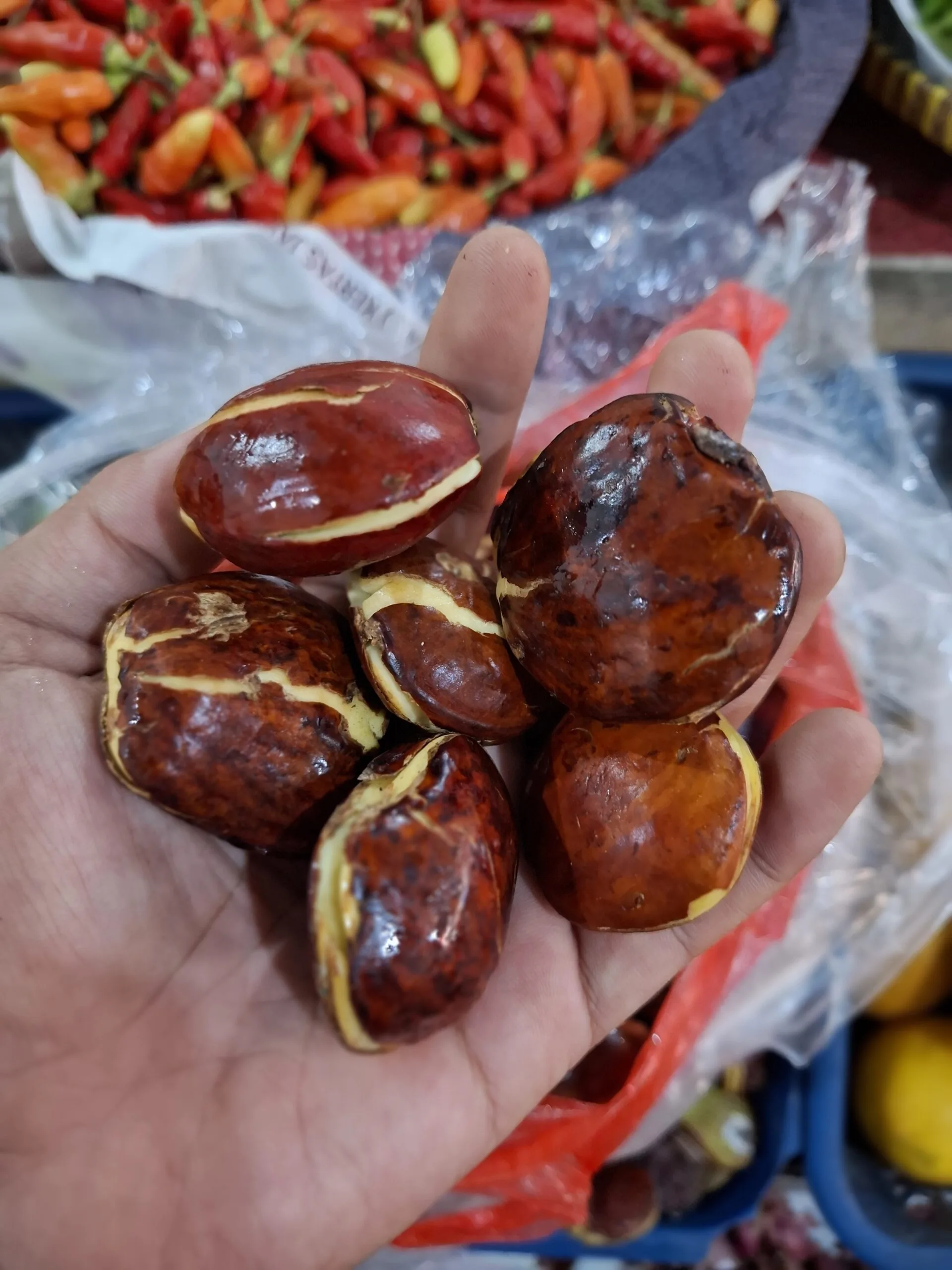 Jengkol Si Aroma Khas dengan Segudang Manfaat