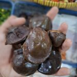 Jengkol Muda: Manfaat Kesehatan,3 Tips Memilih, & Resep Istimewa dari Cikfresh