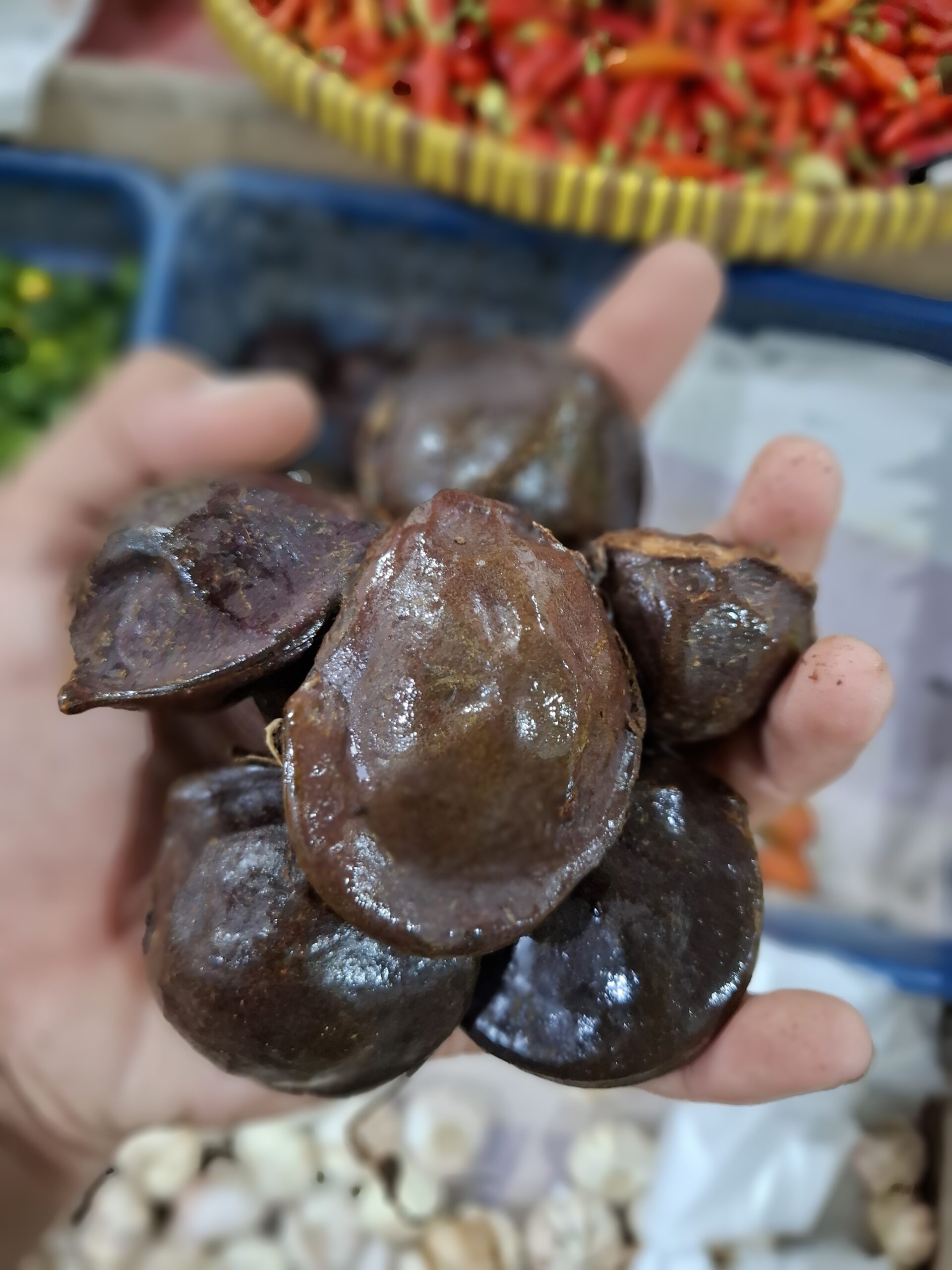 Teknik Mengolah Jengkol Lezat Spesial Ala Chef