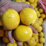 5 Manfaat Jeruk Lemon Tips Memilih Dan Ide Olahan Kreatif