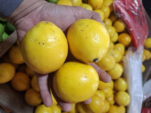 5 Manfaat Jeruk Lemon Tips Memilih Dan Ide Olahan Kreatif