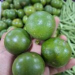 7 Manfaat Jeruk Peras untuk Kesehatan & Tips Memilih