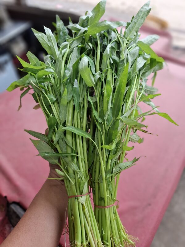 Kangkung! Ini 5 Manfaatnya Dan 4 Resep Simpel Super Lezat