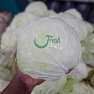 kol/kubis 1kg segar cikfresh