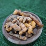 Kunyit Segar: Rempah Emas dengan Segudang Manfaat untuk Sehari-hari