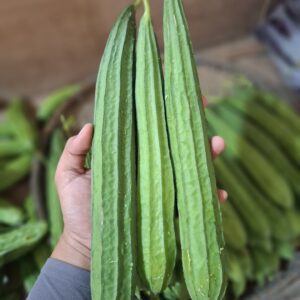 Oyong Si Superfood: Rahasia Sayuran Murah tapi Kaya Nutrisi!