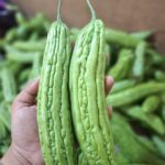 Pare, Sayuran Ajaib untuk Gula Darah & Daya Tahan Tubuh