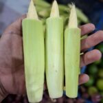 Putren: Si Mungil Renyah yang Bikin Masakan Lebih Istimewa