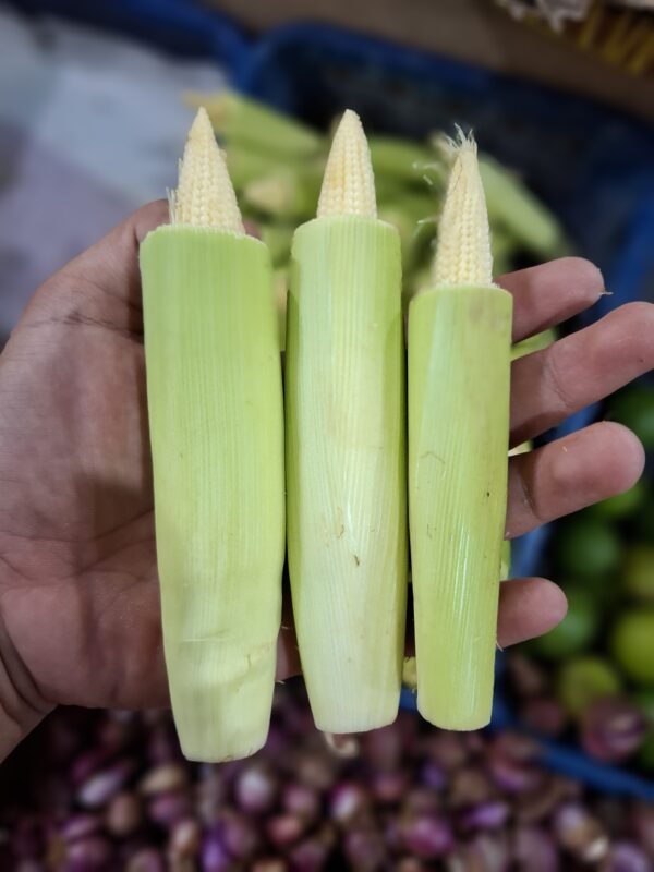 Putren: Si Mungil Renyah yang Bikin Masakan Lebih Istimewa