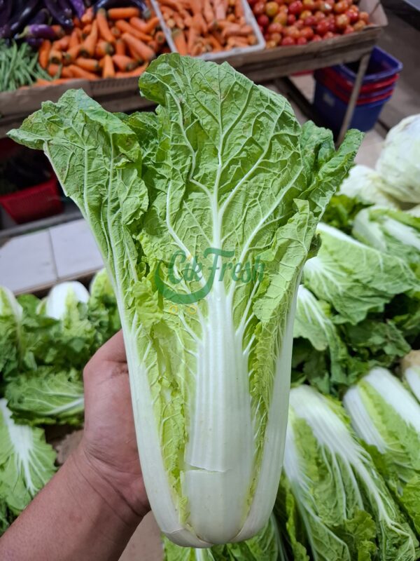 Ini Dia Rahasia Sawi Putih: Sayuran Sehat yang Bikin Masakan Makin Nikmat!