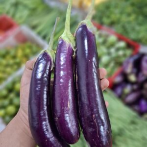 7 Fakta Menarik Terong Ungu – Dari Nutrisi hingga Resep Favorit