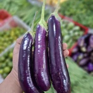 7 Fakta Menarik Terong Ungu – Dari Nutrisi hingga Resep Favorit