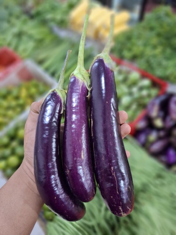 7 Fakta Menarik Terong Ungu – Dari Nutrisi hingga Resep Favorit