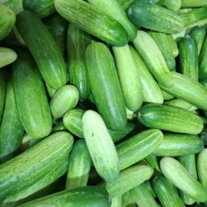 timun segar cikfresh