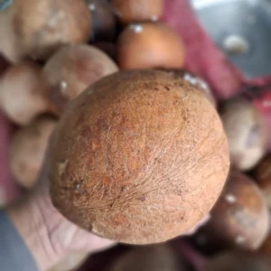 Kelapa, Santan Kelapa, & Kelapa Parut: Rahasia Masakan Gurih ala Cikfresh