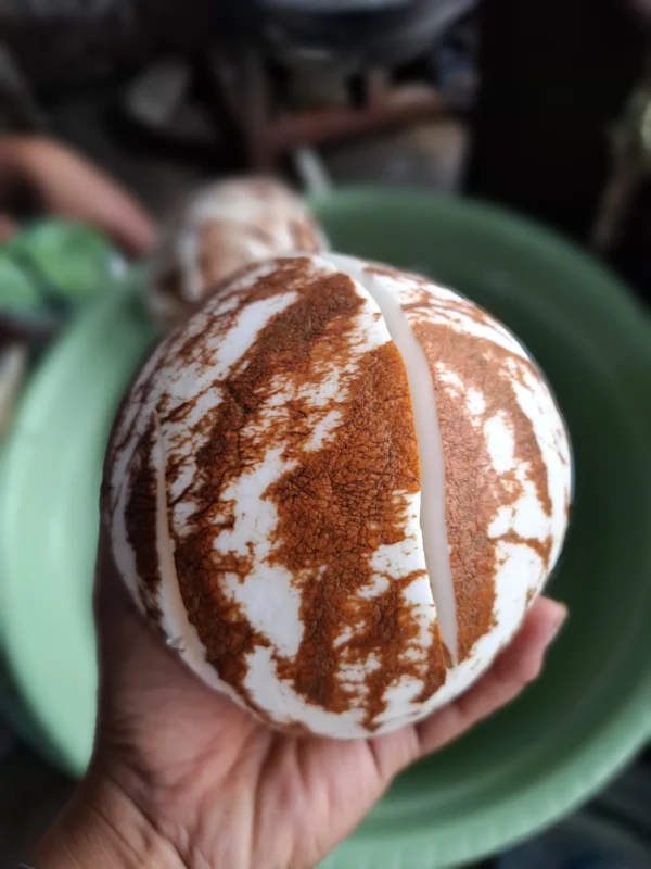 Kelapa, Santan Kelapa, & Kelapa Parut: Rahasia Masakan Gurih ala Cikfresh
