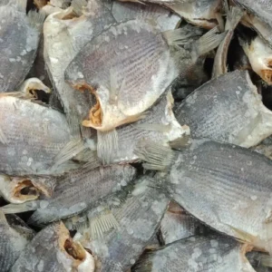 Ikan Asin Tembakang: Gurihnya Melegenda & Manfaat Tak Terduga