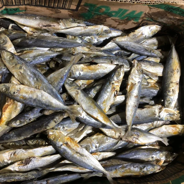 Ikan Asin Japuh: Keunikan Rasa & Manfaatnya yang Tak Terduga