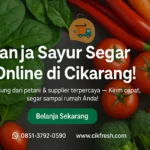 Sayur Online Cikarang Terlengkap & Segar - Cikfresh Solusi Praktis!