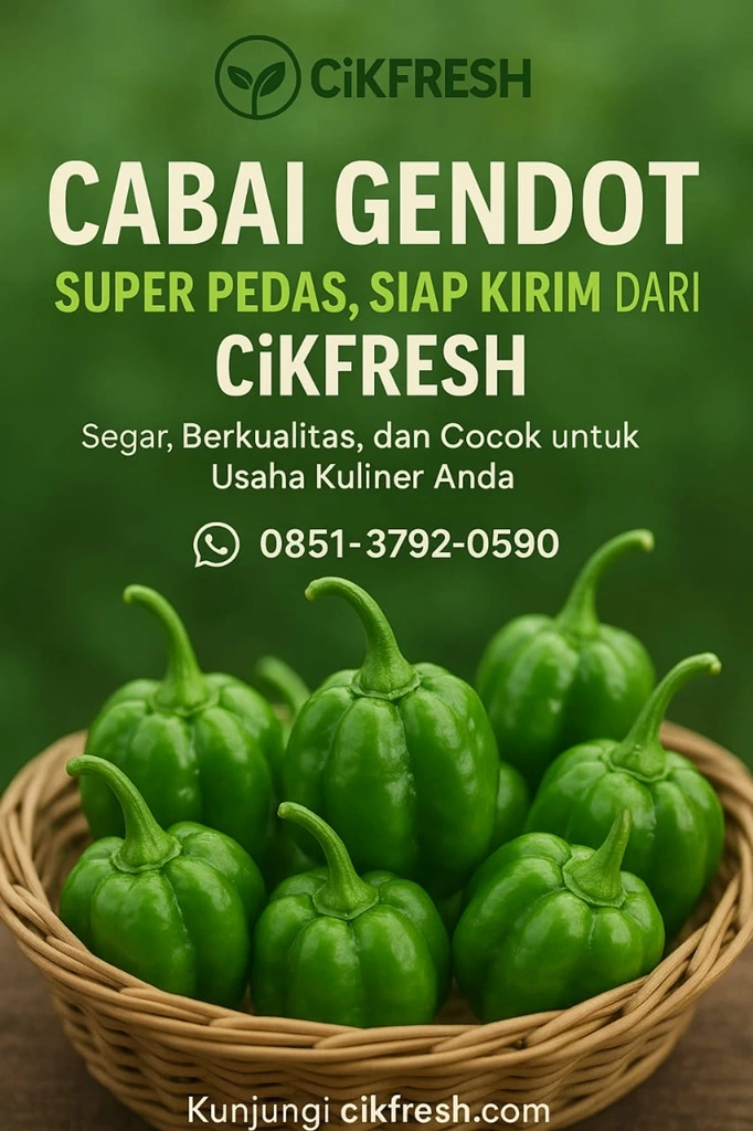 Cabai Gendot: Pedasnya Nagih, Manfaatnya Wow! Cek Harga & Tips No1 Cikfresh 15 Cabai Gendot: Pedasnya Nagih, Manfaatnya Wow! Cek Harga & Tips di Cikfresh