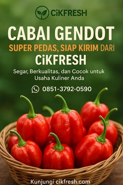 Cabai Gendot: Pedasnya Nagih, Manfaatnya Wow! Cek Harga & Tips No1 Cikfresh 1 Cabai Gendot: Pedasnya Nagih, Manfaatnya Wow! Cek Harga & Tips di Cikfresh
