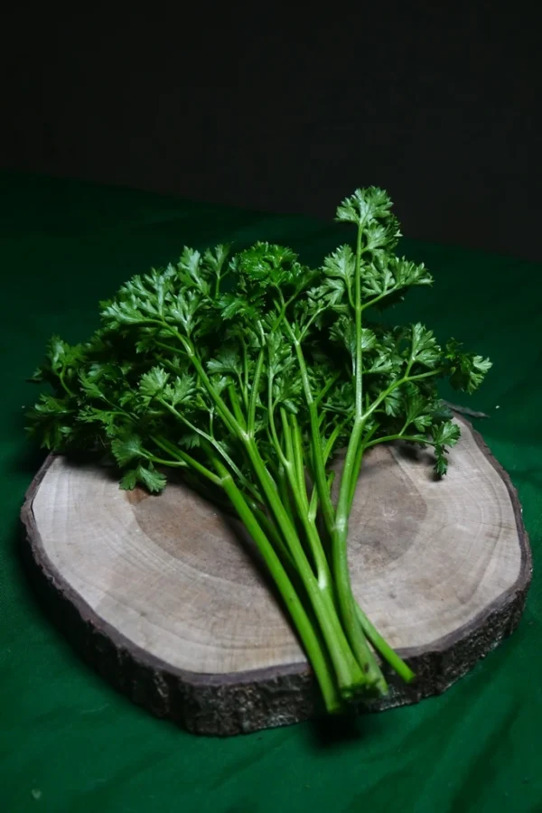 Daun Parsley Segar: 7Manfaat, Tips Penyimpanan & Resep Lezat untuk Masakanmu
