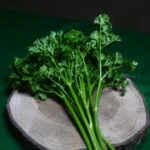 daun parsley 2