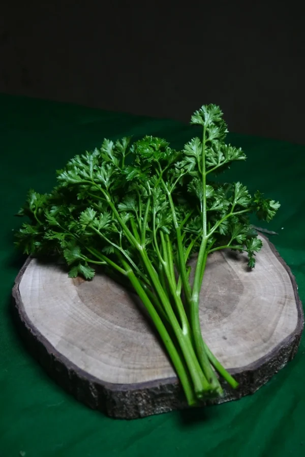Daun Parsley: Si Hijau Aromatik yang Kaya Manfaat untuk Masakanmu - Gambar 2