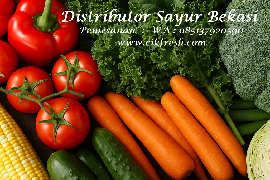 Distributor Sayur Bekasi Terpercaya – Sayur Segar Langsung dari Kebun 1 distributor sayuran bekasi