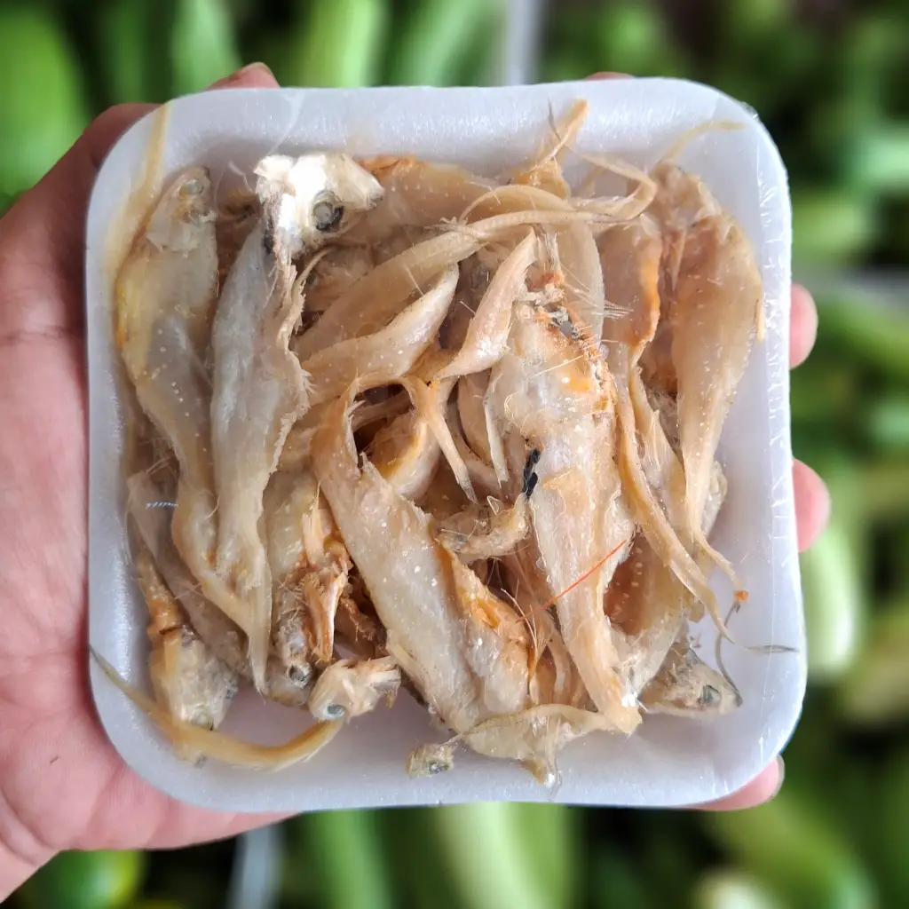 Ikan Asin Bulu Ayam: Gurih Renyah 3 Keunggulan yang Bikin Nagih 1 Ikan Asin Bulu Ayam: Gurih Renyah 3 Keunggulan yang Bikin Nagih