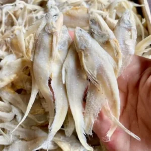 Ikan Asin Bulu Ayam: Gurih Renyah 3 Keunggulan yang Bikin Nagih